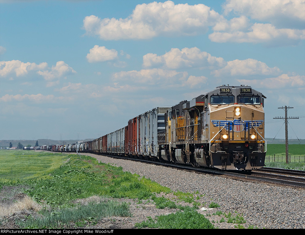 UP 7838